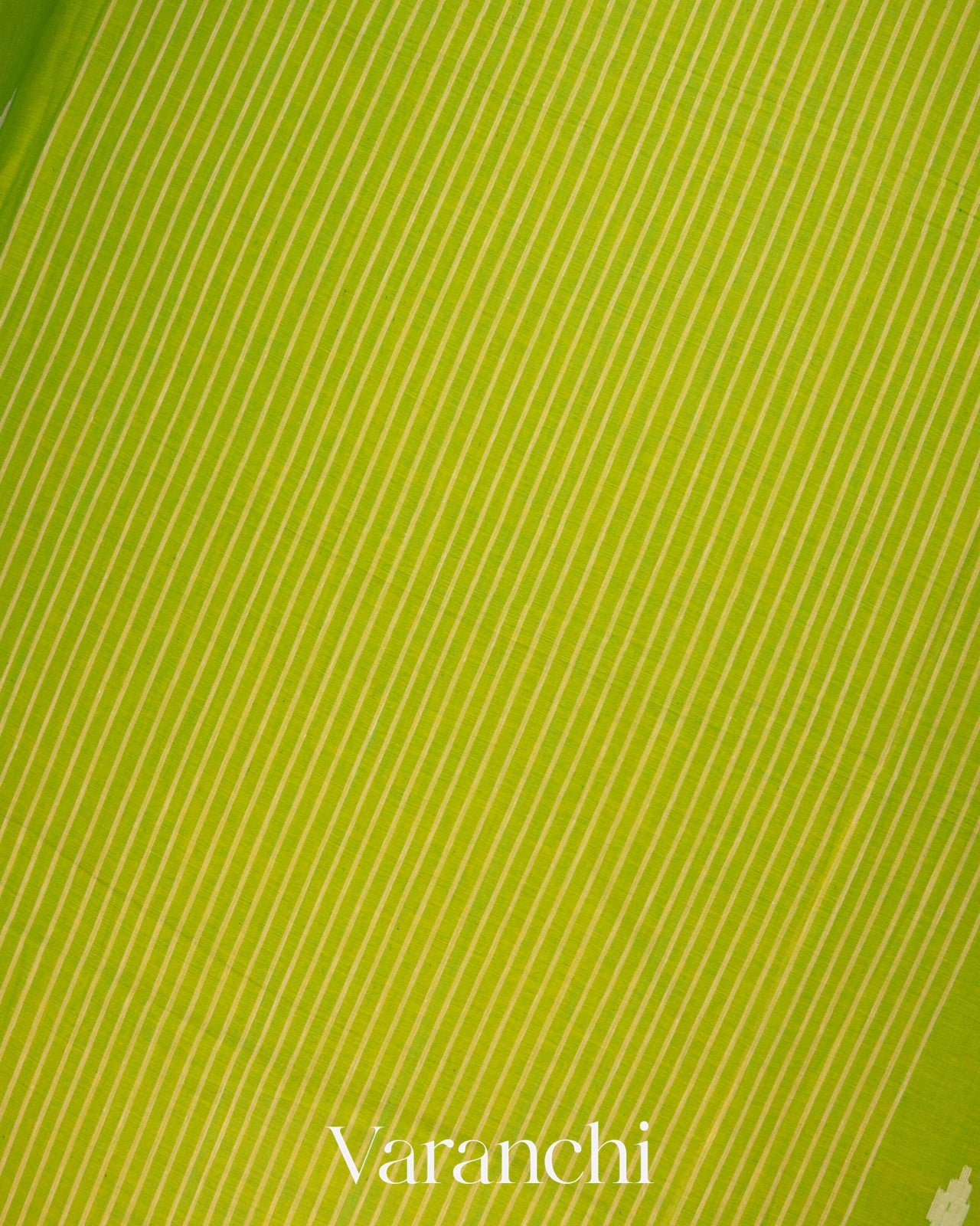 Parrot Green Jamdani Pure Mul Mul Cotton Handloom Saree