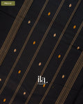 Black Kanchipuram Cotton Saree — Pallu