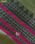 Sage Green Temple Bordered Cotton Tissue Saree — Border