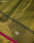 Mehandi Green Cotton Tissue Saree — Blouse