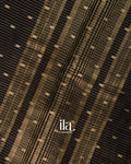 Black Striped Parsi Embroidered Border Assam Silk Saree