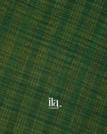Bottle Green Checkered Kalamkari Semi Linen Tissue Saree