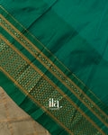 Muted Sage Checkered Semi Silk Saree