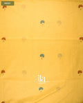 Pale Yellow Paithani Semi Silk Saree — Body